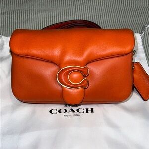 Coach Pillow Tabby 18 C3880
